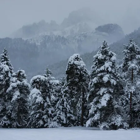 Casa Lite By Bevalle Apartment *