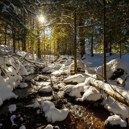 Casa Lite By Bevalle