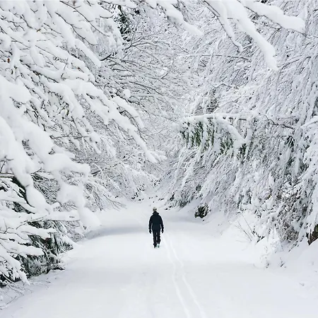 Casa Lite By Bevalle 公寓 *