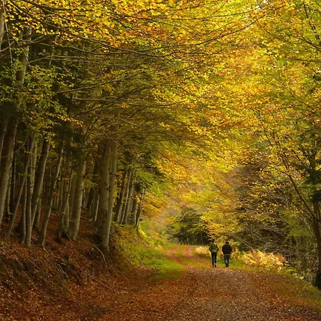 アパート Casa Lite By Bevalle エスカリリャ