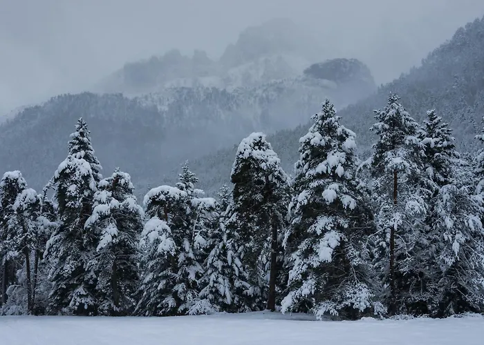 Casa Lite By Bevalle Apartment *