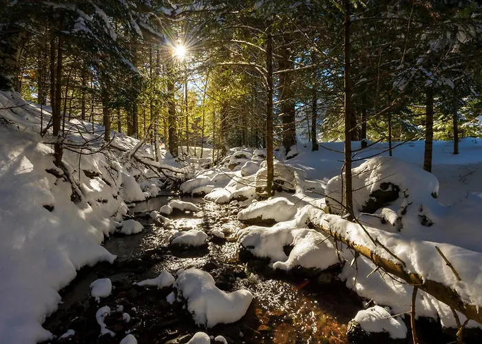 Casa Lite By Bevalle