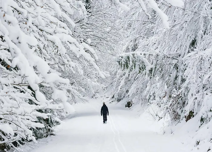 Casa Lite By Bevalle Apartment *