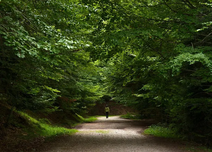 Casa Lite By Bevalle * エスカリリャ