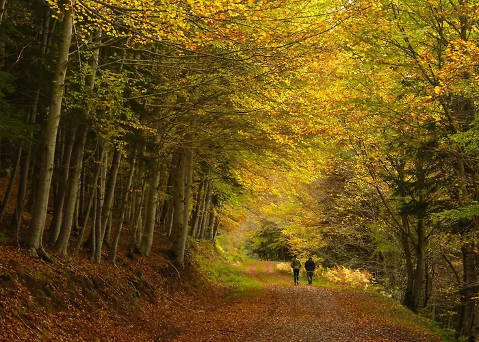 アパート Casa Lite By Bevalle エスカリリャ